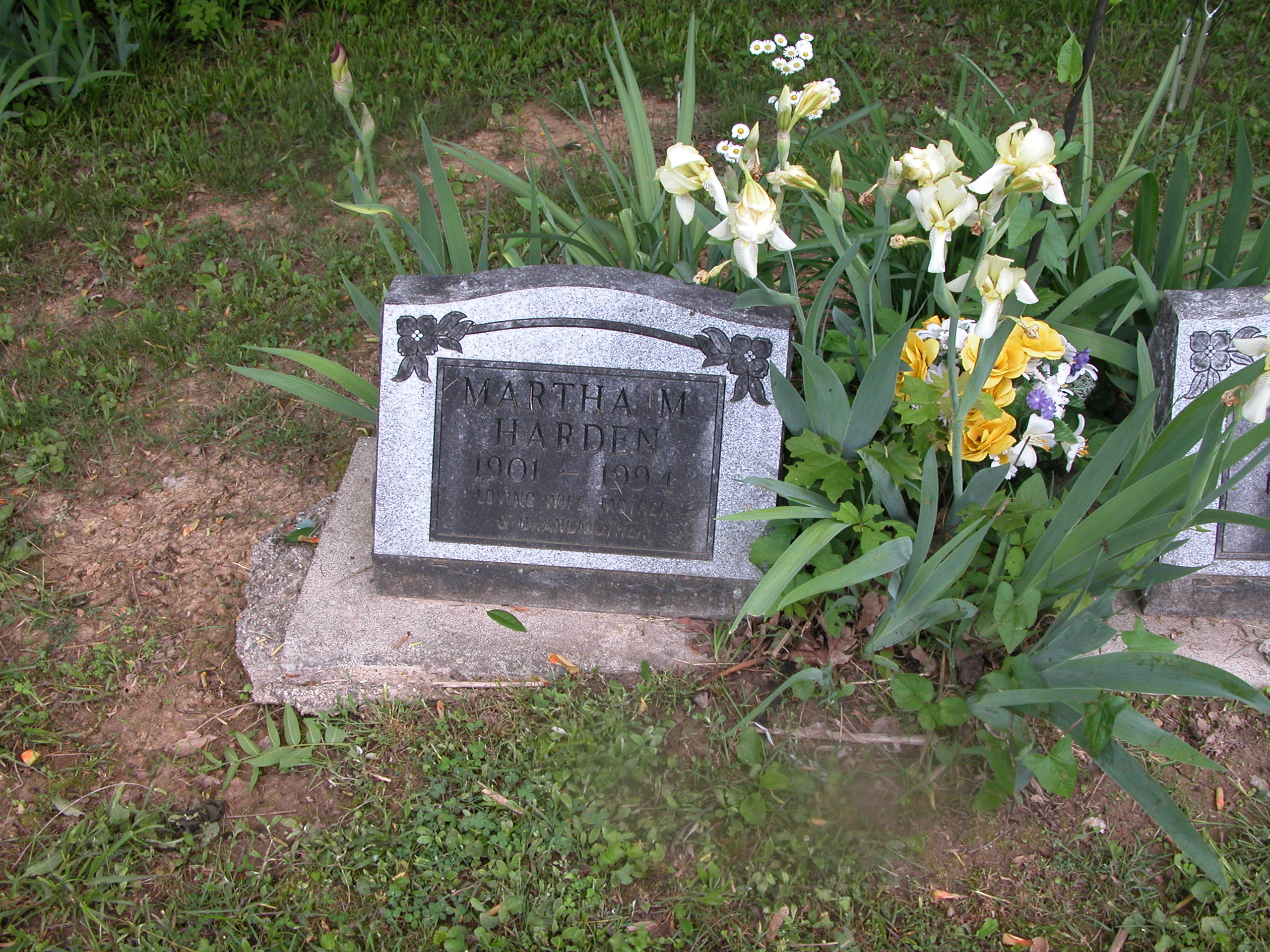 Lucas Cemetery Photos